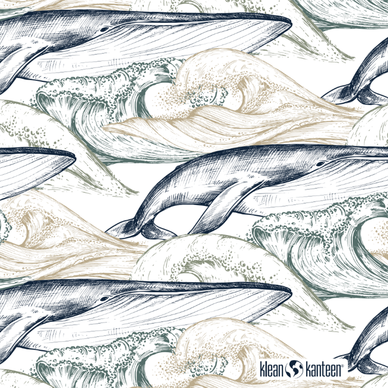 20oz-tkwide-with-twist-cap-ocean-day-u3 20oz_tkwide_bottle_seasonal_ocean_day_whale_artwork_square.png
