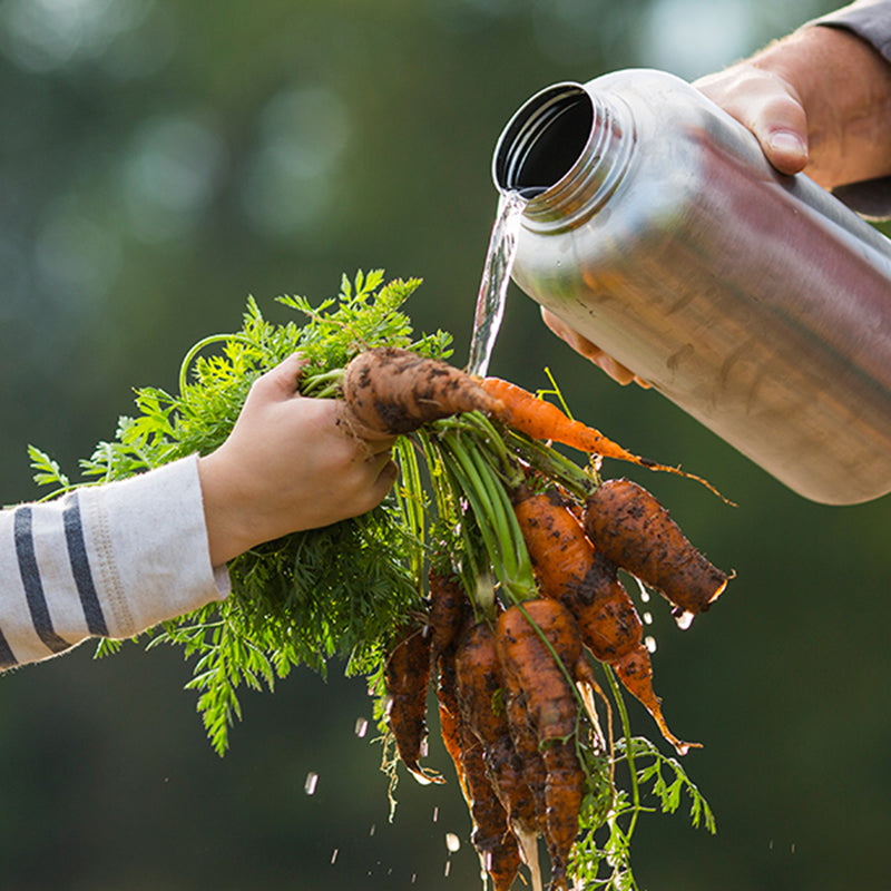 64oz-wide-with-loop-cap-v9 64oz_wide_mouth_bottle_carrots_rinse_square.jpg